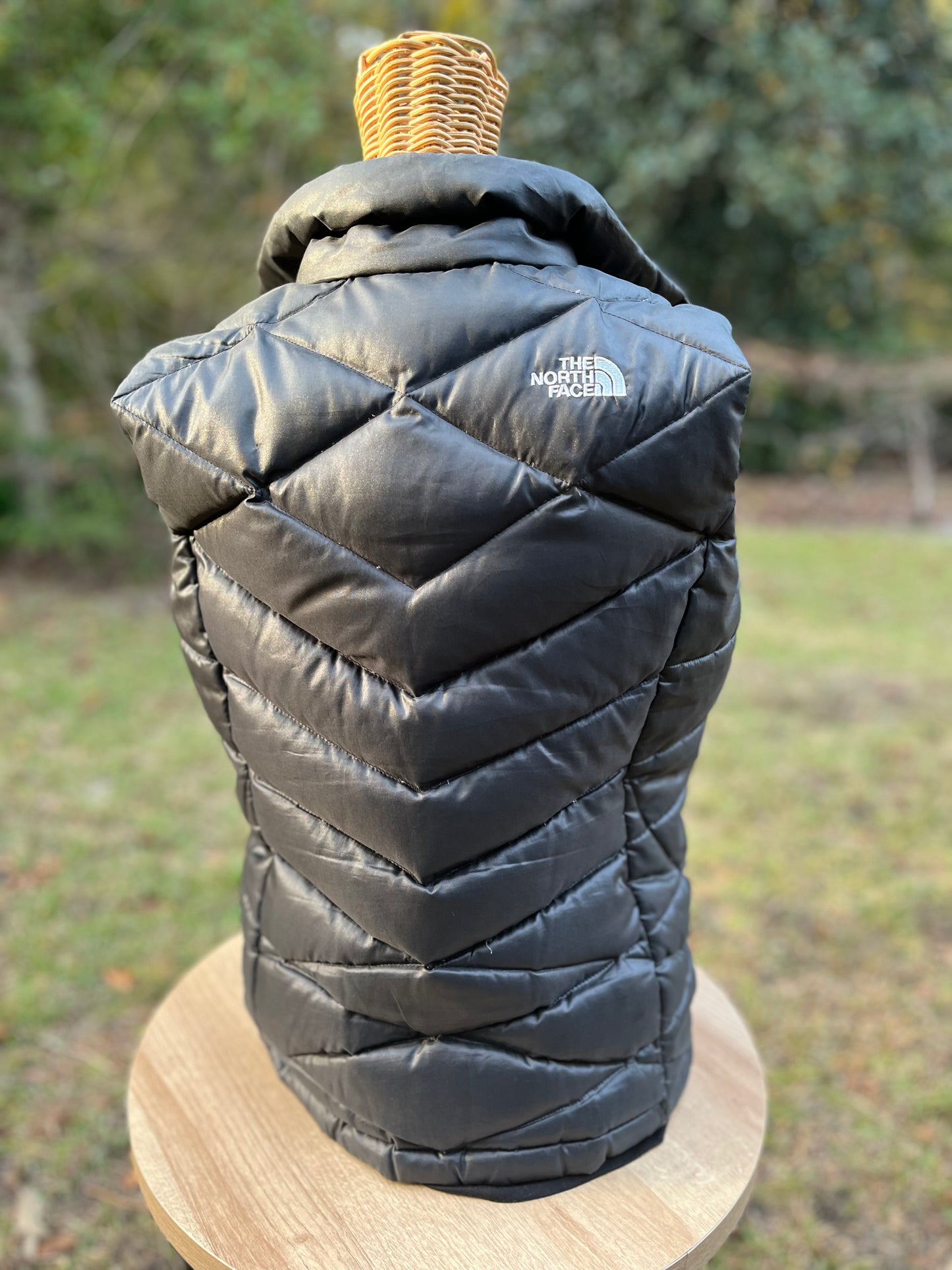 The North Face Vest (S)