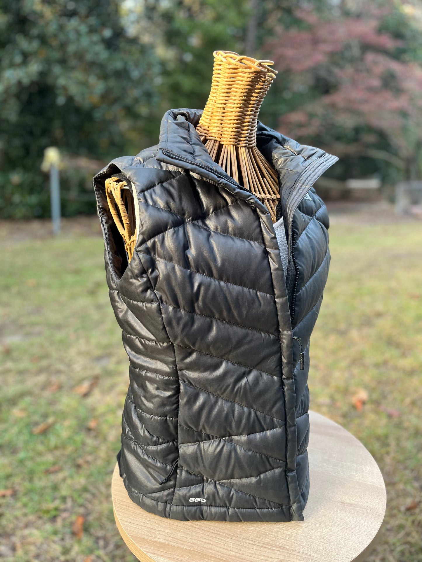 The North Face Vest (S)
