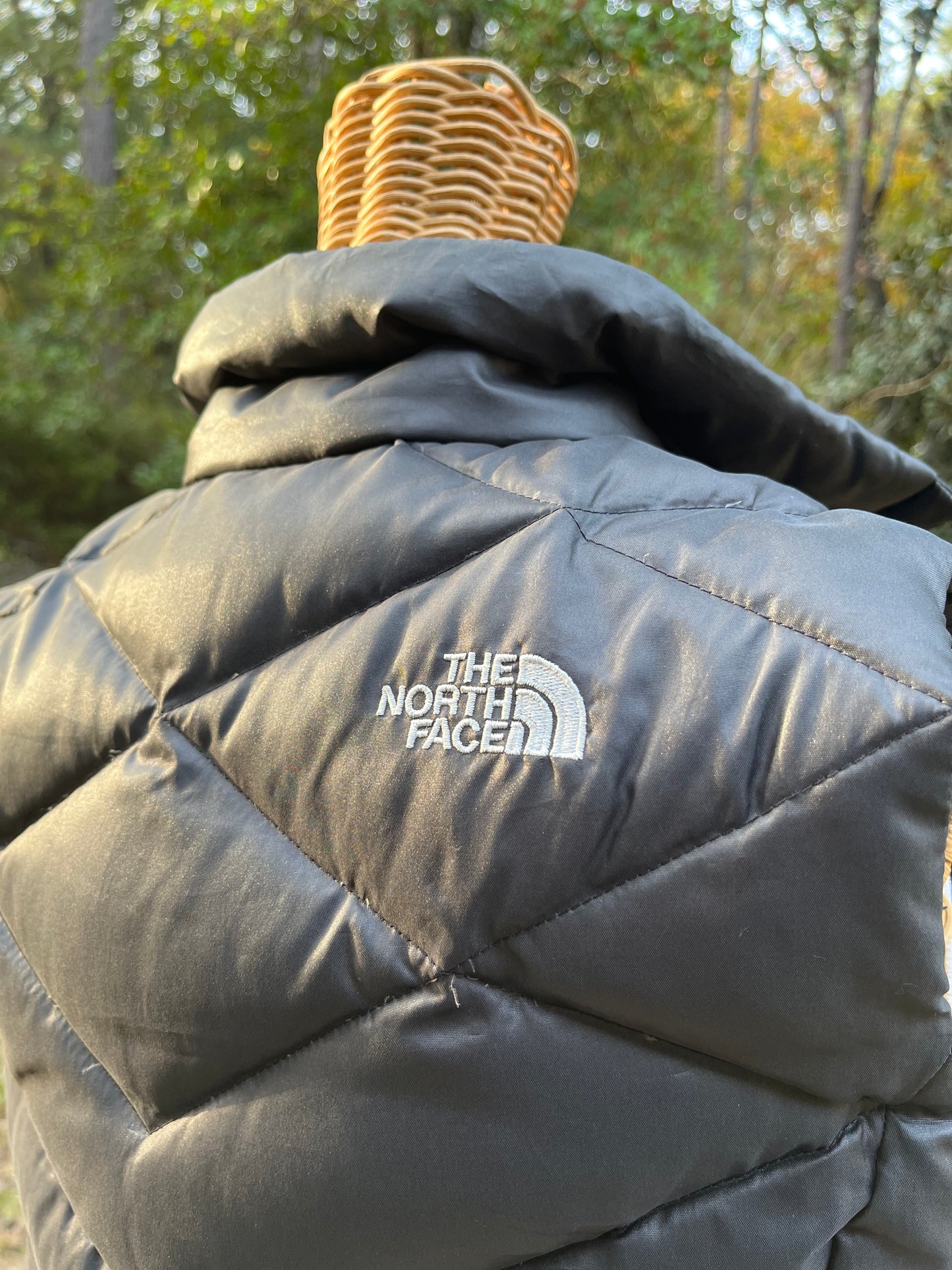 The North Face Vest (S)
