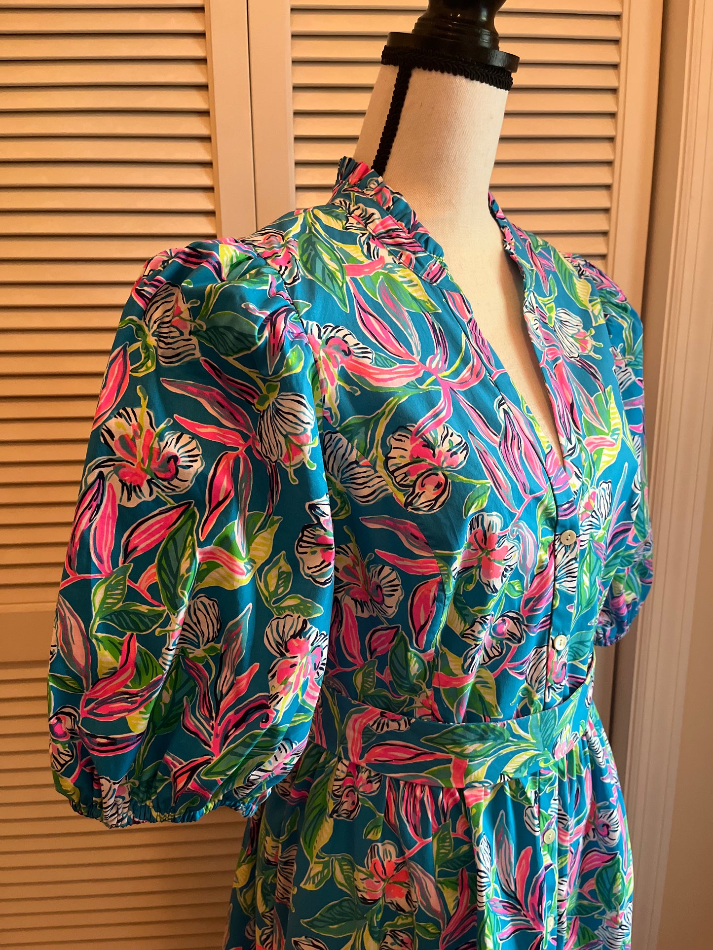 Lilly Pulitzer Dress (14)