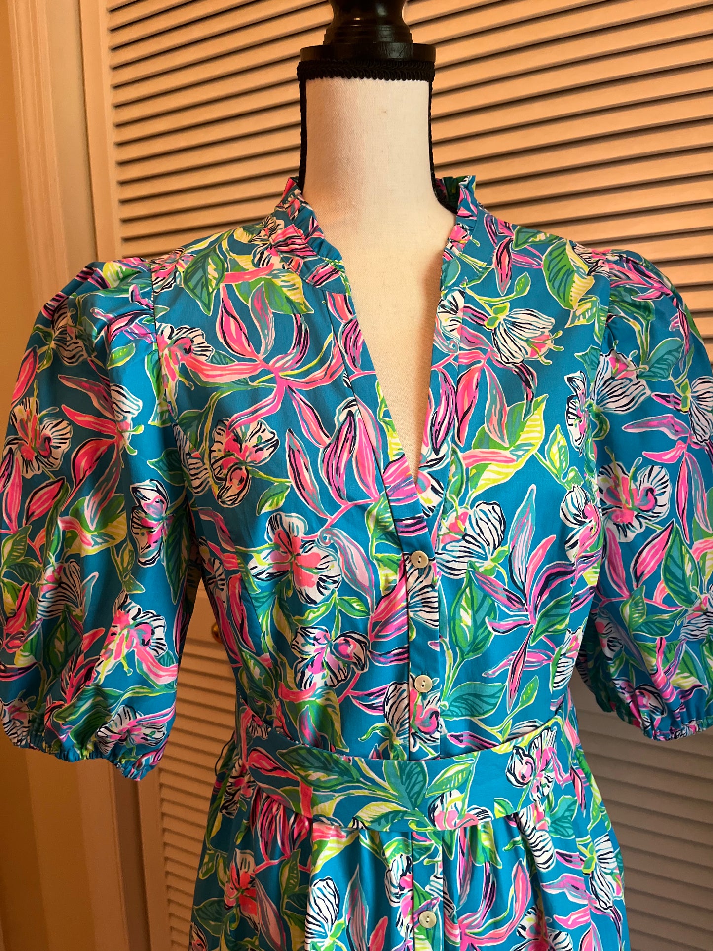 Lilly Pulitzer Dress (14)