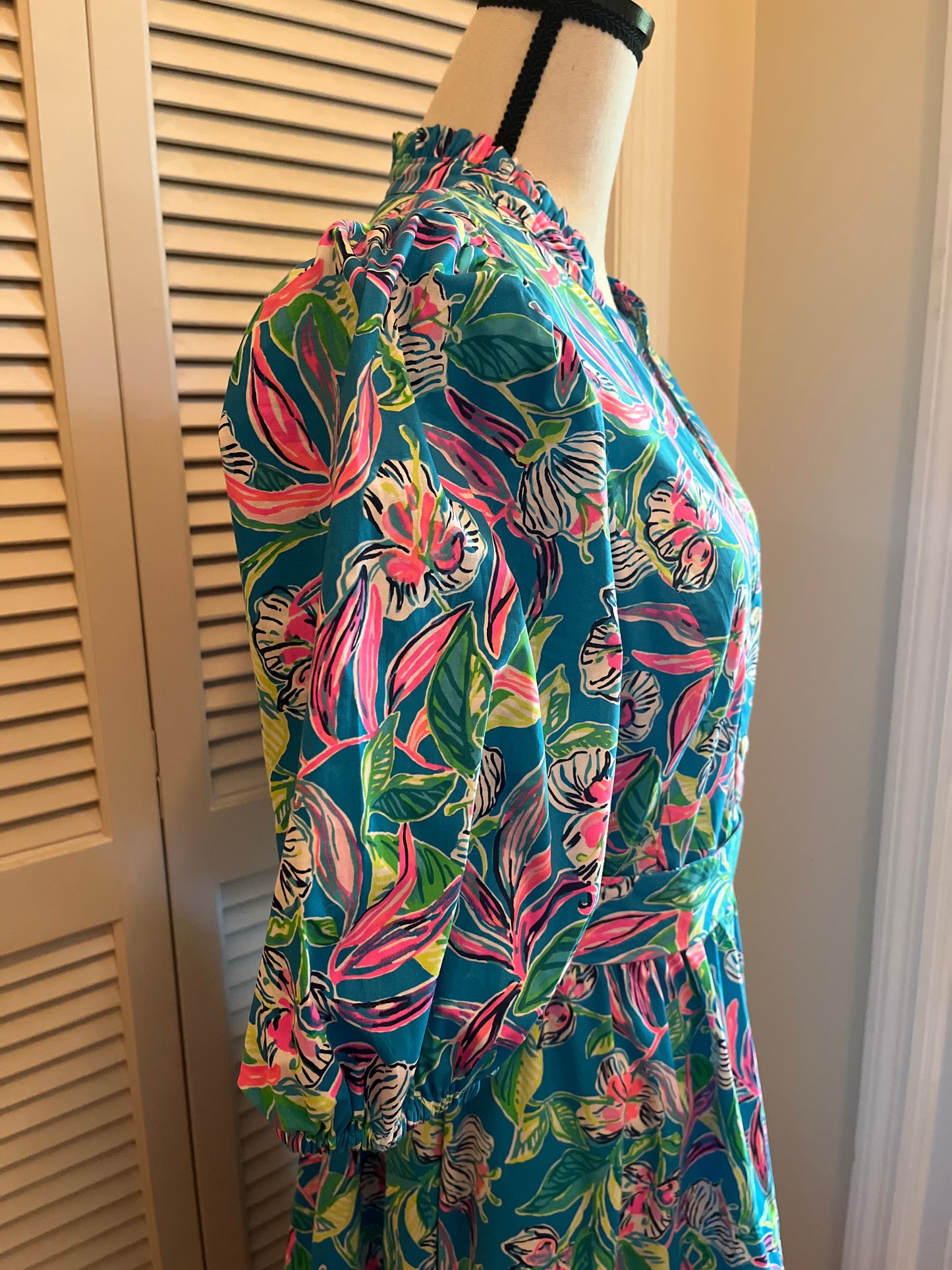 Lilly Pulitzer Dress (14)