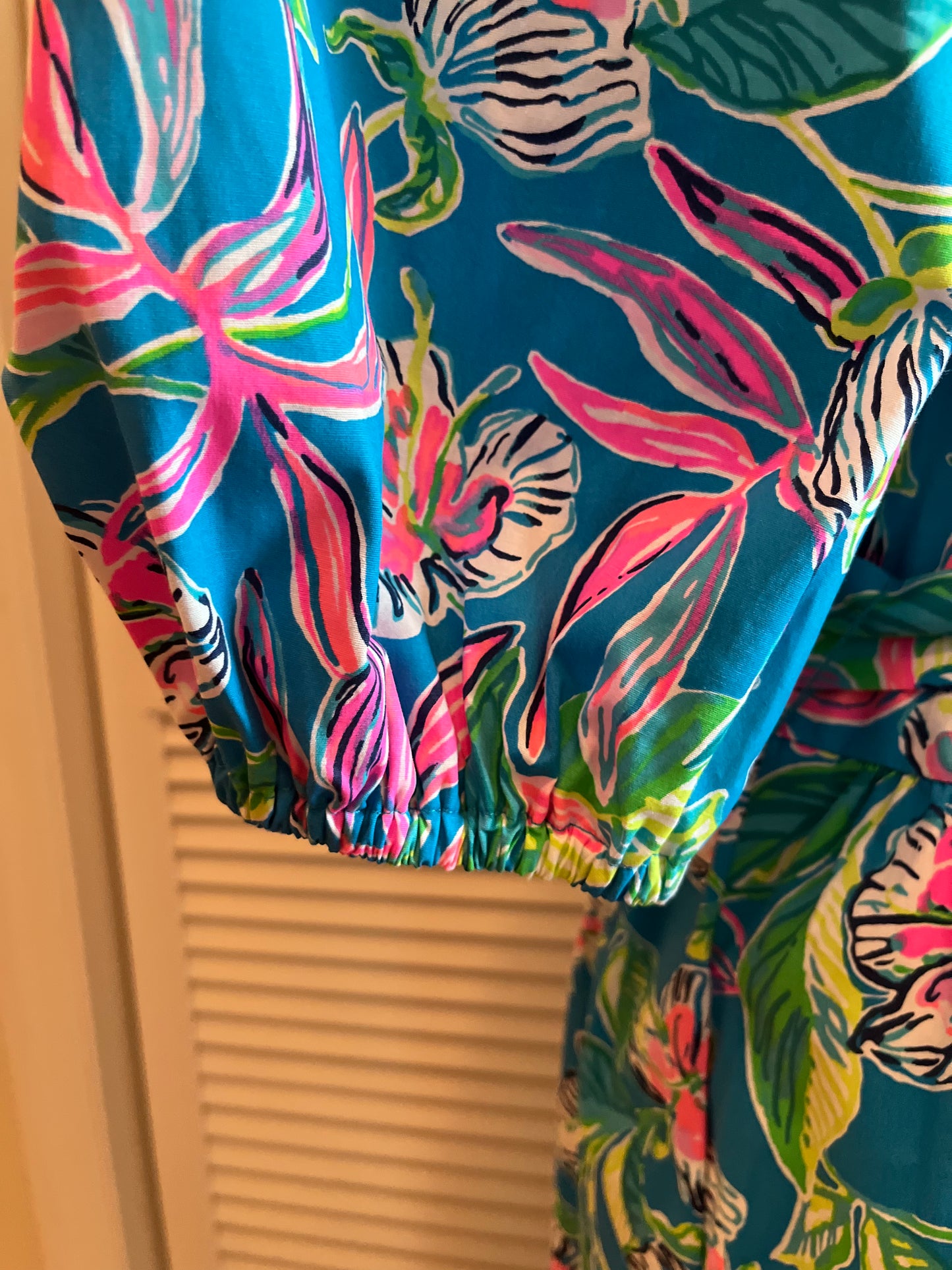 Lilly Pulitzer Dress (14)