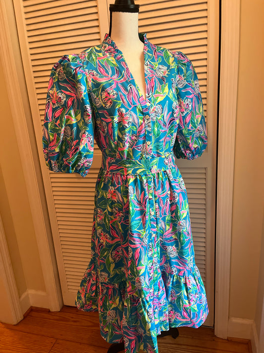 Lilly Pulitzer Dress (14)